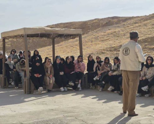 IMG_20251112_153938_286